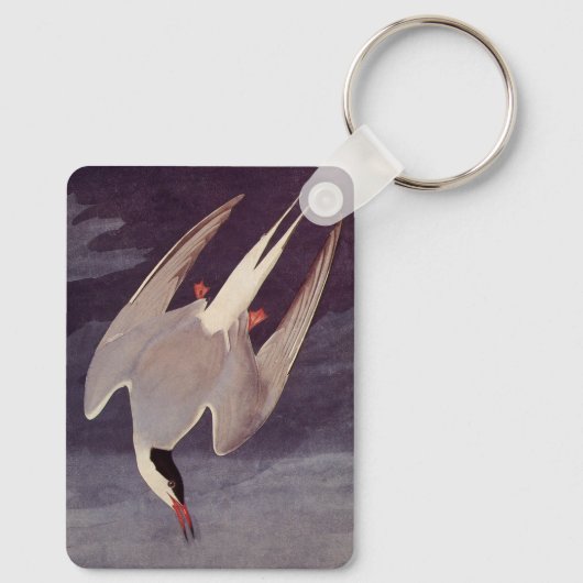 Arctic Tern van John James Audubon, vogels Sleutelhanger (Achterkant)