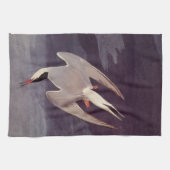 Arctic Tern van John James Audubon,  vogels Theedoek (Horizontaal)