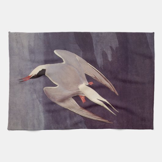 Arctic Tern van John James Audubon, vogels Theedoek (Horizontaal)