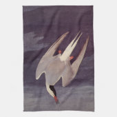 Arctic Tern van John James Audubon,  vogels Theedoek (Verticaal)