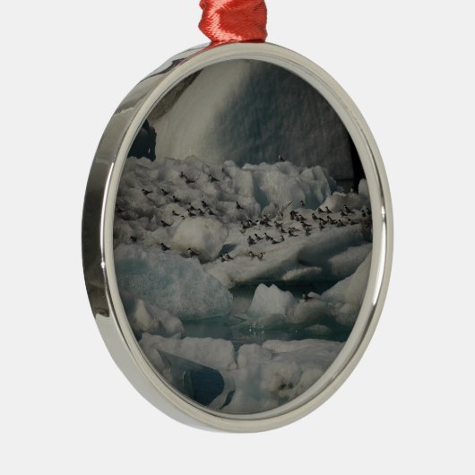 Arctic Terns Jokulsarlon IJsland Ornament (Rechts)