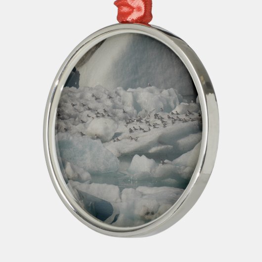 Arctic Terns Jokulsarlon IJsland Ornament (Links)