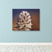 Arctic Tundra Wooly Lousewart Flower Oliktok, AK Canvas Afdruk (Insitu (Houten vloer))