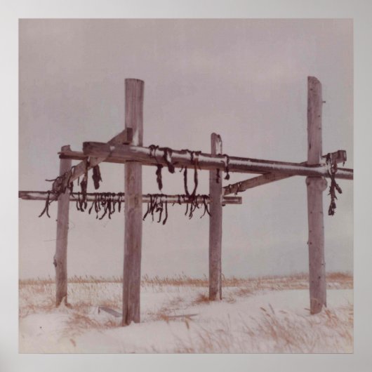 Arctic Vat Drying Rack, Old Pt. Lay Village Photo Poster (Voorkant)