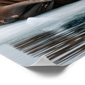 Arctic Walrus Poster (Hoek)