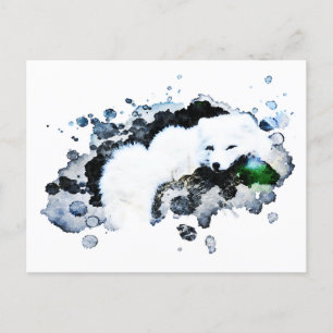 ** Arctic White - Snow Polar Fox AP18 Wildlife Briefkaart