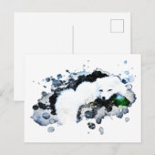 ** Arctic White - Snow Polar Fox AP18 Wildlife Briefkaart (Voorkant / Achterkant)