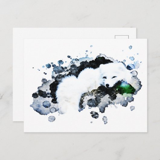 ** Arctic White - Snow Polar Fox AP18 Wildlife Briefkaart (Voorkant / Achterkant)