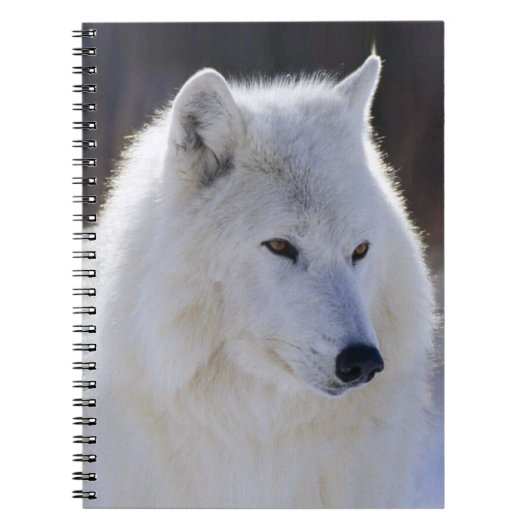 Arctic White Wolf Notitieboek (Voorkant)