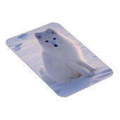 Arctic Winter Fox Foto ontworpen Magneet (Rechterzijde)