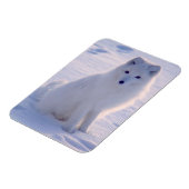 Arctic Winter Fox Foto ontworpen Magneet (Linkerzijde)