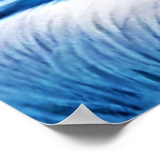 Arctic Winter Fox Snow Poster (Hoek)