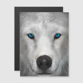 Arctic Wolf (Voorkant / Achterkant)