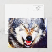 Arctic Wolf Briefkaart (Voorkant / Achterkant)