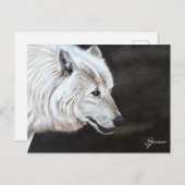 Arctic Wolf Briefkaart Print (Voorkant / Achterkant)