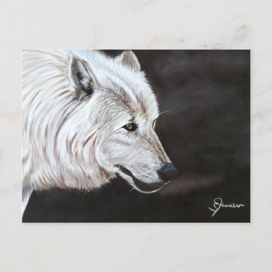 Arctic Wolf Briefkaart Print (Voorkant)