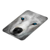 Arctic Wolf Magneet (Linkerzijde)