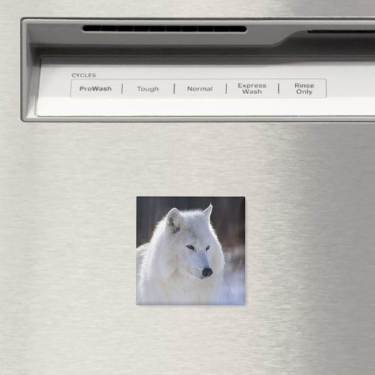 Arctic Wolf Magnet (Insitu (Vaatwasser))