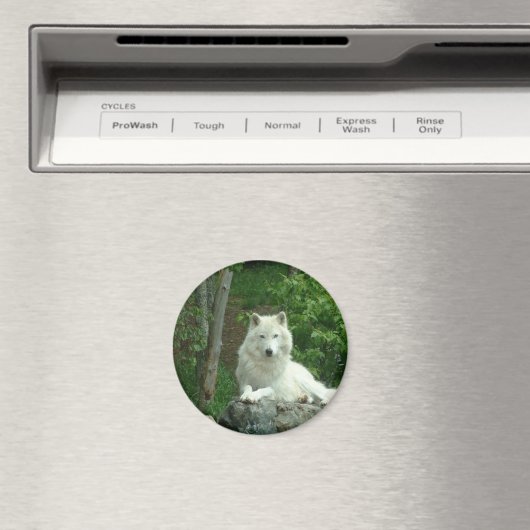 Arctic Wolf Magnet (Insitu (Vaatwasser))