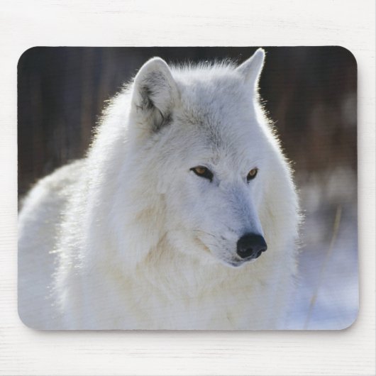 Arctic Wolf Muismat (Voorkant)