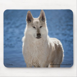 Arctic Wolf Muismat