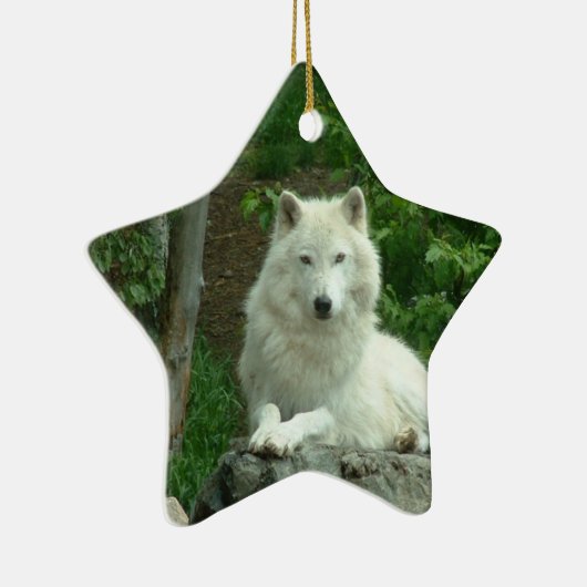 Arctic Wolf Ornament (Rechts)