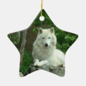 Arctic Wolf Ornament (Voorkant)