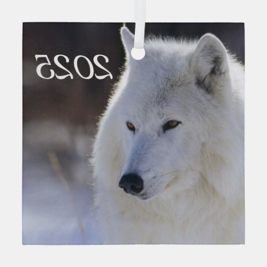 Arctic Wolf Ornament (Achterkant)