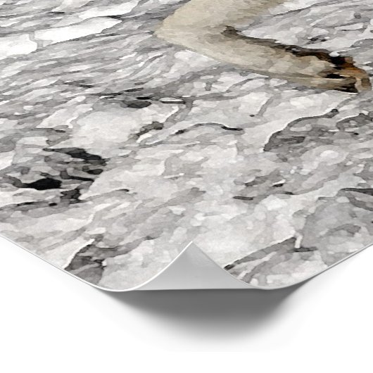 Arctic Wolf Portrait Poster Print (Hoek)