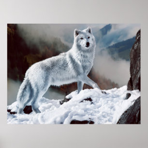 Arctic Wolf Poster