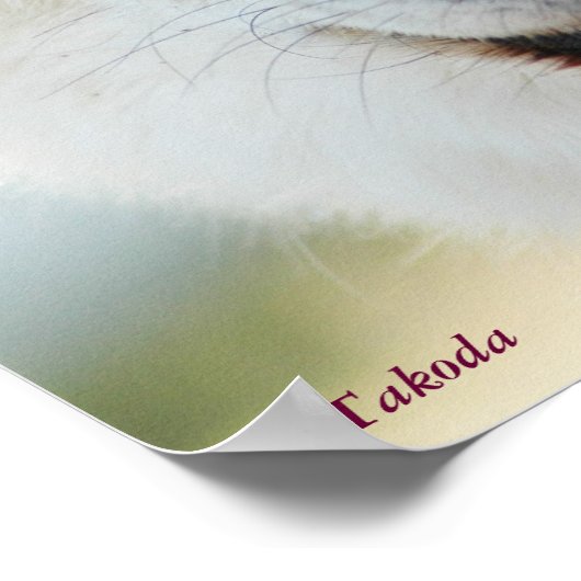 Arctic Wolf Poster (Hoek)