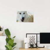 Arctic Wolf Poster (Thuiskantoor)