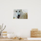 Arctic Wolf Poster (Keuken)