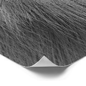 Arctic Wolf Poster (Hoek)