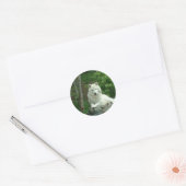 Arctic Wolf Sticker (Envelop)