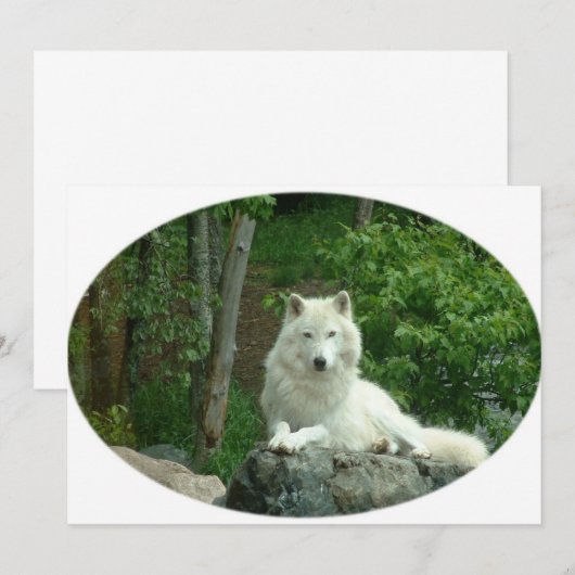 Arctic Wolf-uitnodiging Kaart (Voorkant / Achterkant)