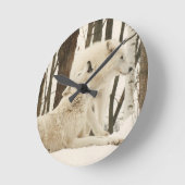 Arctic Wolves  Ronde Klok (Hoek)