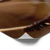 Arctic Wooly Lousewart Flower-foto ontworpen Poster (Hoek)