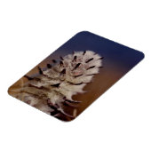 Arctic Wooly Lousewart Wildflower koelkast Magneet (Linkerzijde)