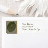 Arctinrus Boltoni Fossil Trilobite Etiket (Insitu)