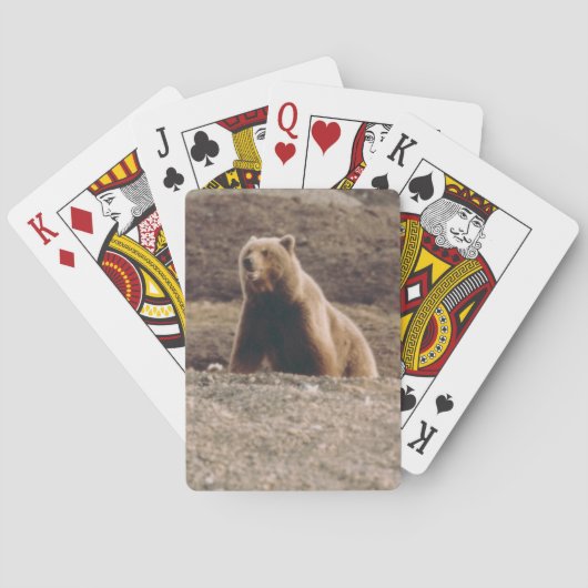Arctisch Alaska Toendra Grizzly Zeug Foto Ontwerp Pokerkaarten (Achterkant)