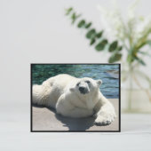 Arctisch Beer Briefkaart (Staand voorkant)