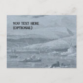 arctisch Briefkaart (Voorkant)