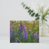 Arctisch lupine Impressionisme Briefkaart (Staand voorkant)