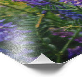 Arctisch lupine Impressionisme Foto Afdruk (Hoek)