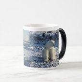 Arctisch Polar Beer, Arctic Cold Magische Mok (Voorkant rechts)