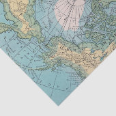 Arctisch weefsel tissuepapier (Detail)