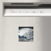 Arctisch zee boven Noord-Amerika Magneet (Insitu (Vaatwasser))