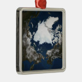 Arctisch zee metalen ornament (Rechts)