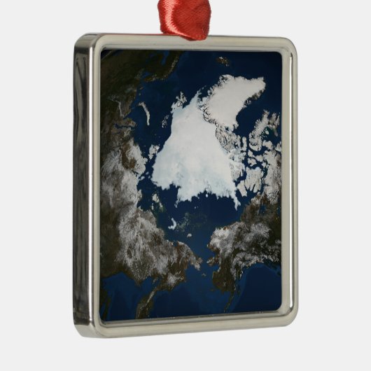 Arctisch zee metalen ornament (Rechts)